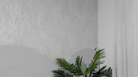 Snapshot of emma_morgann chatting on 25, 2, 2026 Emma Morgann online show from 25, 2, 2026