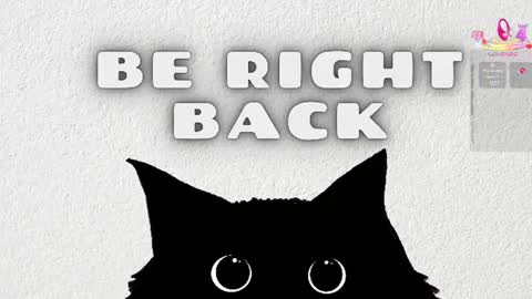   online show from 13, 6, 2026