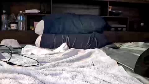 Daddytimesx online show from 21, 4, 2026