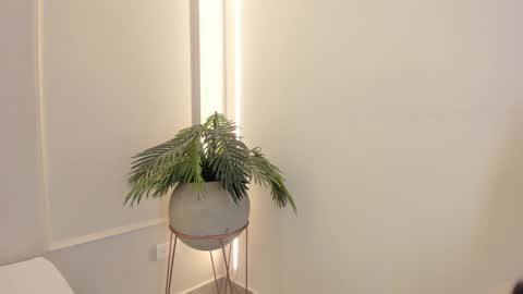 Snapshot of emmiily_z chatting on 19, 1, 2025 Emmiily online show from 19, 1, 2025