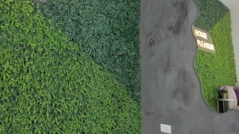 Snapshot of emmiily_z chatting on 31, 1, 2025 Emmiily online show from 31, 1, 2025