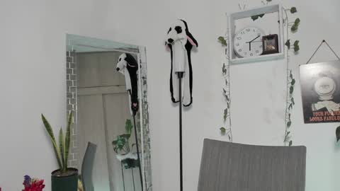 Emperatriz online show from 30, 1, 2025