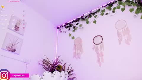 Emily online show from 20, 11, 2025