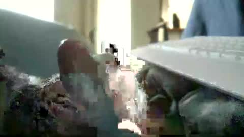 encormoi online show from 11, 11, 2025