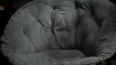 Erik plays hockey online show from 11, 11, 2025