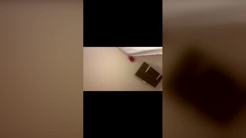 Gabs online show from 23, 4, 2026