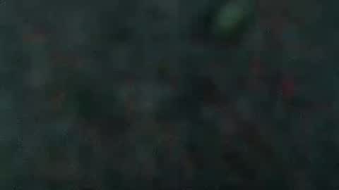 Snapshot of estelarseiya chatting on 5, 2, 2025 estelarseiya online show from 5, 2, 2025