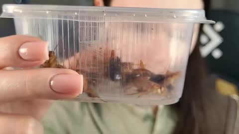 kelt0901 - my channel in telegra online show from 21, 2, 2026