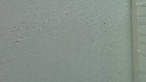 Estrella online show from 15, 2, 2025