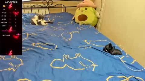 Eva online show from 2, 11, 2025