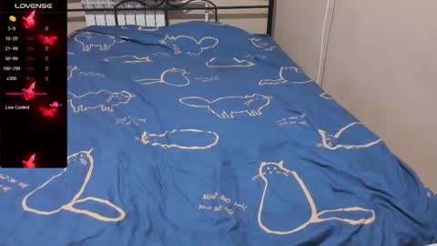 Eva online show from 27, 11, 2025