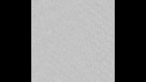 Eva online show from 28, 2, 2025