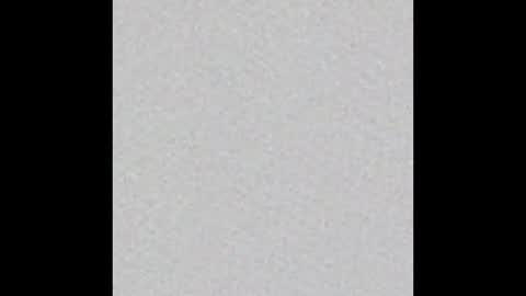 Eva online show from 28, 10, 2025