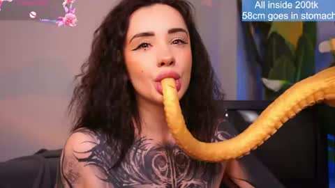Snapshot of evarabbit chatting on 11, 6, 2026 Eva online show from 11, 6, 2026