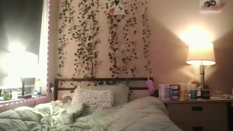 eviesins_xo online show from 31, 10, 2025
