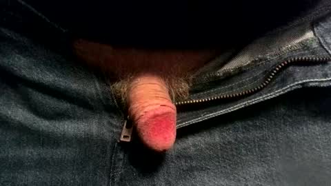 evolite_ online show from 19, 11, 2025