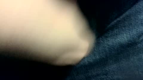 evolite_ online show from 24, 11, 2025