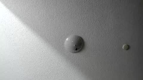 EV Parrish online show from 20, 1, 2025