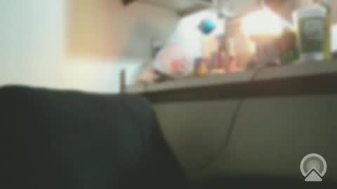 Exoticlexxii online show from 4, 2, 2026