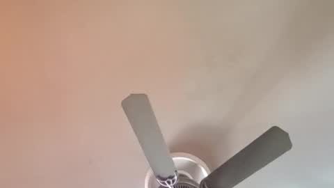 Exoticlexxii online show from 6, 4, 2026