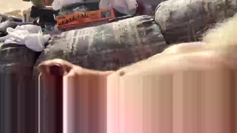 Snapshot of exploreyou chatting on 8, 3, 2026 exploreyou online show from 8, 3, 2026