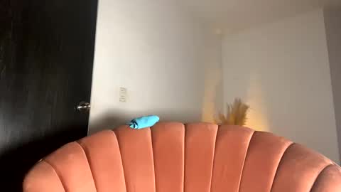 Thianna online show from 15, 11, 2025