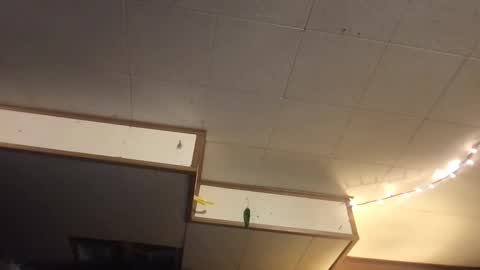 Snapshot of faexoxoxo chatting on 12, 3, 2025 Fae online show from 12, 3, 2025