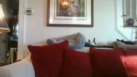 Snapshot of fairmount31 chatting on 7, 1, 2025 fairmount31 online show from 7, 1, 2025