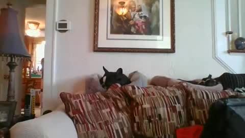 Snapshot of fairmount31 chatting on 19, 2, 2025 fairmount31 online show from 19, 2, 2025