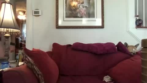 Snapshot of fairmount31 chatting on 21, 10, 2025 fairmount31 online show from 21, 10, 2025