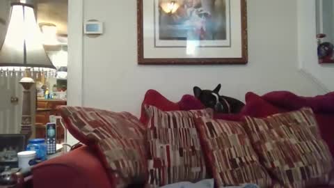 Snapshot of fairmount31 chatting on 1, 11, 2025 fairmount31 online show from 1, 11, 2025