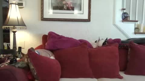 Snapshot of fairmount31 chatting on 13, 2, 2026 fairmount31 online show from 13, 2, 2026