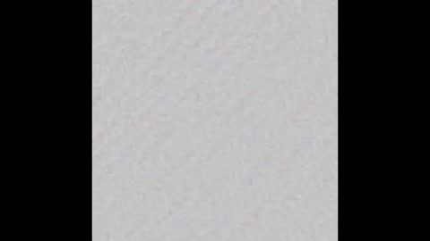 Falkor online show from 15, 3, 2026