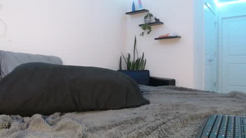 Fallon Gray online show from 8, 3, 2025