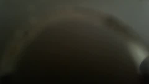 falushp online show from 26, 2, 2025