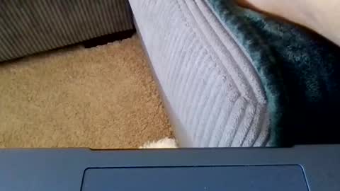 Caylenge online show from 21, 4, 2026