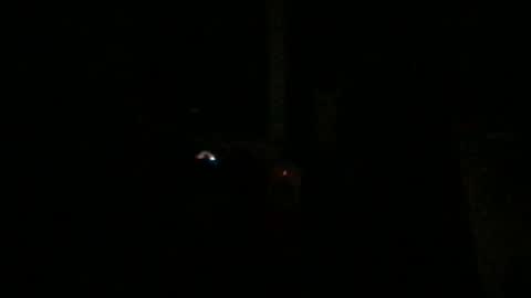 fantasticdeee online show from 6, 1, 2025