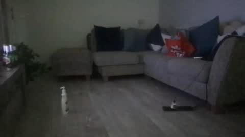 fantasticdeee online show from 6, 3, 2025