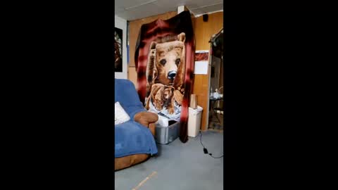 Scarlett online show from 10, 2, 2026