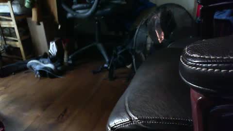 Snapshot of farmershawn chatting on 15, 9, 2025 Shawn online show from 15, 9, 2025