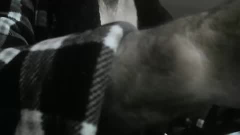 feardubh online show from 31, 10, 2025