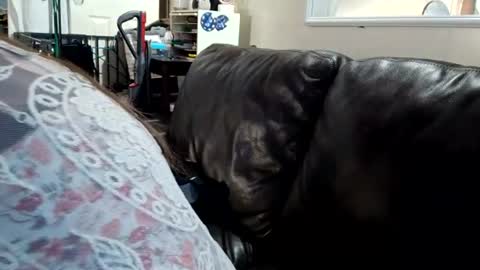 Snapshot of feastonme00 chatting on 4, 7, 2026 feastonme00 online show from 4, 7, 2026