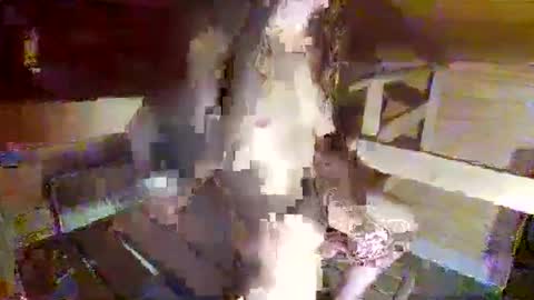 feet__sucker online show from 22, 9, 2025