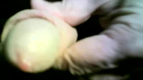 Snapshot of felicaste chatting on 17, 4, 2026 felicaste online show from 17, 4, 2026