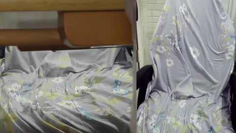 Snapshot of felixlau chatting on 23, 12, 2024 felixlau online show from 23, 12, 2024