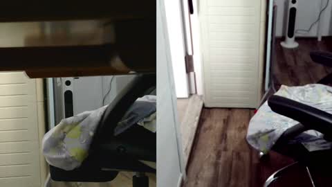 Snapshot of felixlau chatting on 3, 2, 2025 felixlau online show from 3, 2, 2025