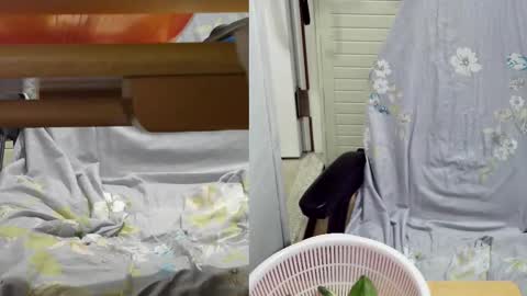 Snapshot of felixlau chatting on 18, 2, 2025 felixlau online show from 18, 2, 2025