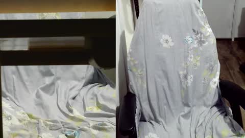 Snapshot of felixlau chatting on 9, 3, 2025 felixlau online show from 9, 3, 2025