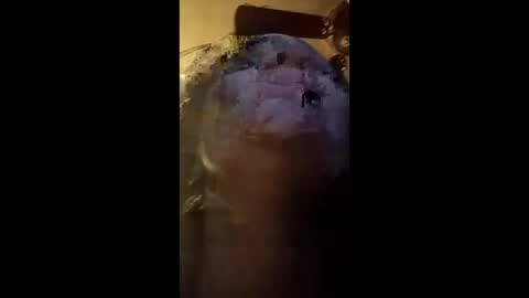 fellatio13 online show from 6, 5, 2026