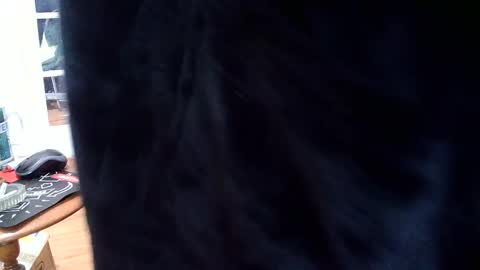 hungnsexy  online show from 7, 3, 2025
